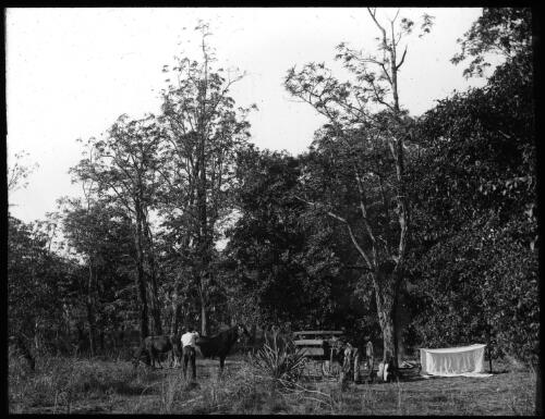 Makeshift camp site with mosquito netting for protection over the sleeping quarters [transparency] : a lantern slide used by John Flynn in lectures / [John Flynn]
