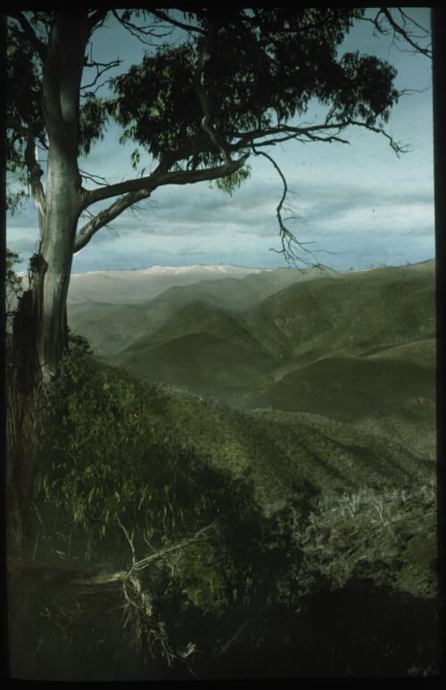 Mount Tingiringi, Victoria [transparency] : a lantern slide used by John Flynn in lectures / [John Flynn]