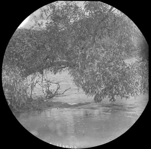 Mirra Creek, Callanna, South Australia, March 1910 [1] [transparency] : lantern slide used by Rev. F.H. Paterson, north South Australia / [John Flynn?]