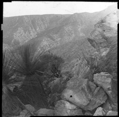 Yarra?, Flinders Range, near Edeowie, South Australia [transparency] : lantern slide used by Rev. F.H. Paterson, north South Australia / [John Flynn?]
