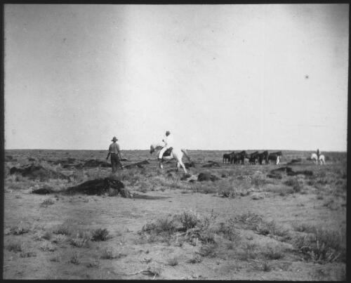 Unidentified men culling horses, South Australia [transparency] : scene of mid-north South Australia used by Rev. F.H. Patterson on Stuart Patrol 1930+