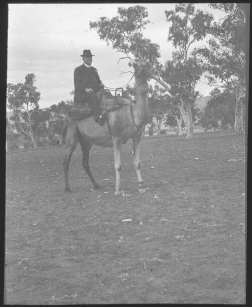Reverend F. H. Paterson? sitting on a camel [transparency] : lantern slide used by Rev. F.H. Paterson, north South Australia / [John Flynn?]