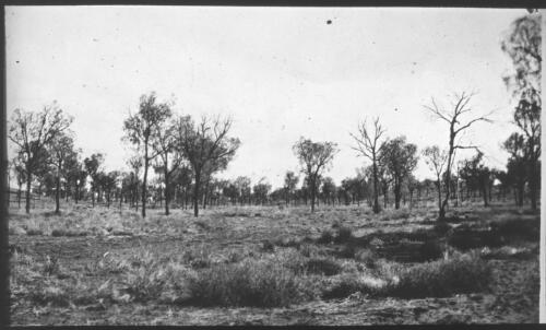 Unidentified bush landscape scene [transparency] : scene of mid-north South Australia used by Rev. F.H. Patterson on Stuart Patrol 1930+
