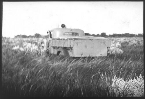 Utility truck driving though wild flowers, South Australia [transparency] : scene of mid-north South Australia used by Rev. F.H. Patterson on Stuart Patrol 1930+