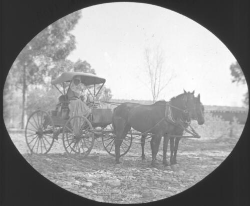 Unidentified woman sitting in horse-drawn vehicle in dry creek near Beltana, South Australia, 1909 [transparency] : lantern slide used by Rev. F.H. Paterson, north South Australia / [John Flynn?]