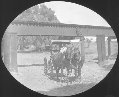 Unidentified man sitting in horse-drawn vehicle in dry creek near Beltana, South Australia, 1909 [transparency] : lantern slide used by Rev. F.H. Paterson, north South Australia / [John Flynn?]