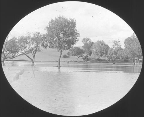 Mungerannie [Mungaranie] waterhole, South Australia, August, 1910 [transparency] : lantern slide used by Rev. F.H. Paterson, north South Australia