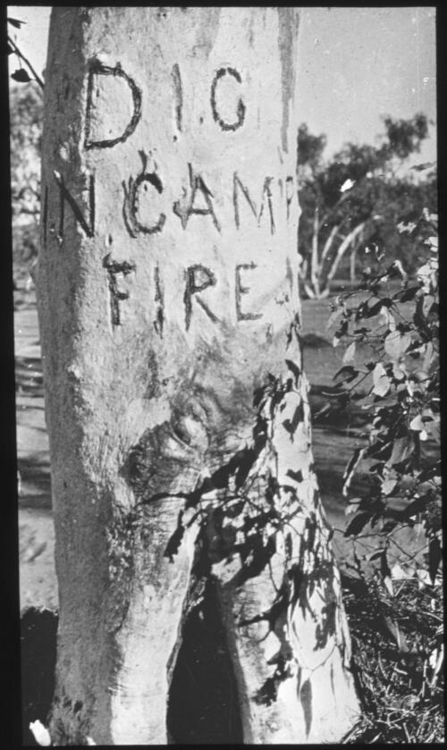 "Dig in camp fire" carved on a trunk of a tree - Lasseter? [transparency] : a lantern slide used in lectures on all Australian Inland Mission activities, 1940- / [John Flynn?]
