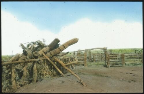 Old log fence posts in stockyard, South Australia [transparency] : scene of mid-north South Australia used by Rev. F.H. Patterson on Stuart Patrol 1930+