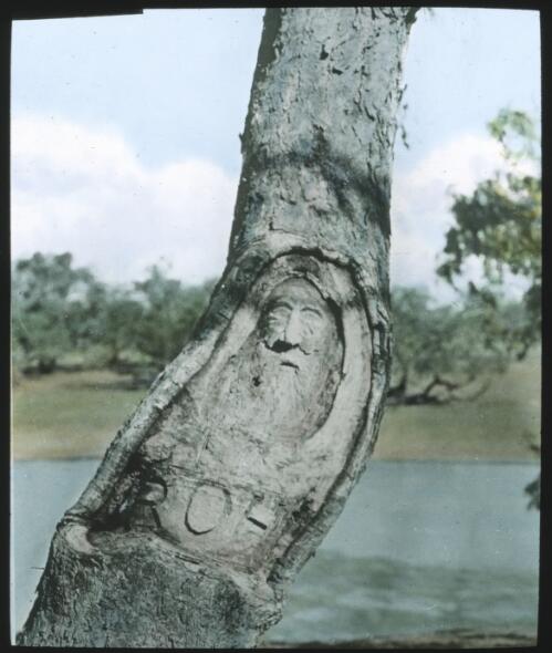 John Dick's tree carved with the face and initials of Robert O'Hara Burke [transparency] : a deputation slide of the AIM [Australian Inland Mission] Head Office, 1926-1940/ [John Flynn?]