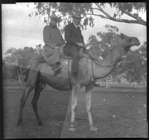 Two unidentified men riding a camel, South Australia [transparency] : scene of mid-north South Australia used by Rev. F.H. Patterson on Stuart Patrol 1930+