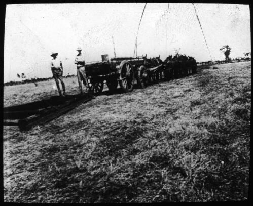 Road making [team of horses pulling a wagon], Northern Territory [transparency] : a deputation slide of the AIM [Australian Inland Mission] Head Office, 1926-1940/ [John Flynn?]
