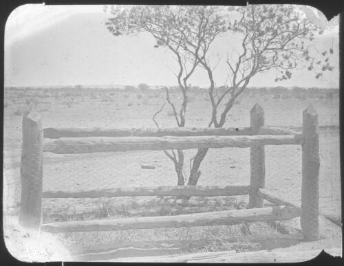 Grave on Wooltana Road, South Australia, 1909 [transparency] : part of South Australian and other AIM [Australian Inland Mission] scenes used by Rev. F.H. Patterson