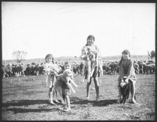 Four unidentified children holding lambs [transparency] : part of South Australian and other AIM [Australian Inland Mission] scenes used by Rev. F.H. Patterson
