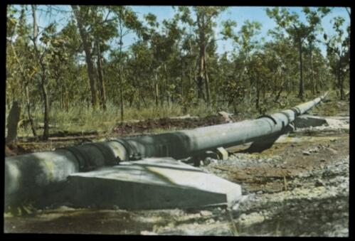 View of a pipeline in the bush [transparency] : a lantern slide used for publicity in South Australia / [John Flynn]