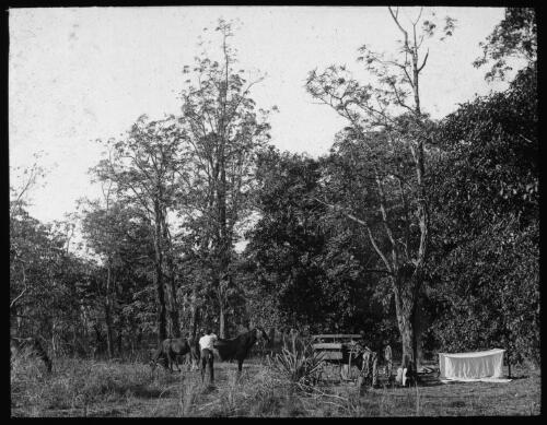 Pleasant [Creek], Northern Territory [transparency] : part of scenes of the Northern Territory and North Western Australia / [John Flynn?]