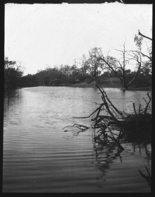 Frome River, South Australia [transparency] : a lantern slide used for publicity in South Australia  / [John Flynn]