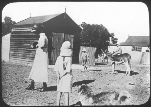 Unidentified woman, children, donkey and dog in yard with shed, Oodnadatta, South Australia [transparency] / [John Flynn?]