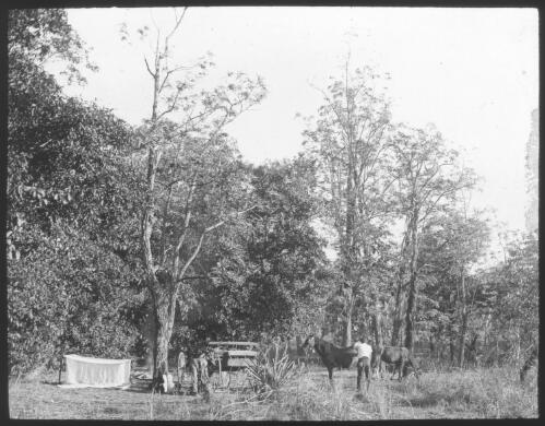 Campsite with two unidentified men with horses and wagon [transparency] / [John Flynn?]