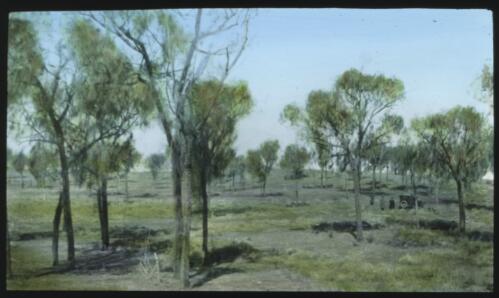 Desert oak trees with two unidentified men and car in distance [transparency] / [John Flynn?]