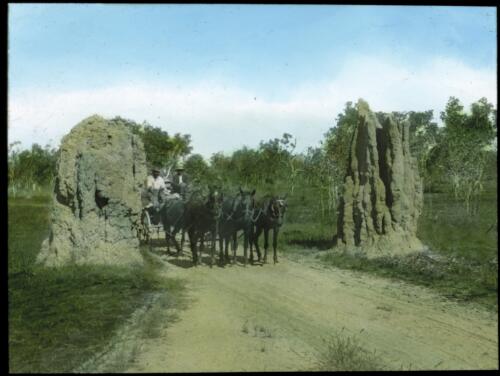 Two large ant hills on either side of road [transparency] : a lantern slide used by John Flynn in lectures / [John Flynn]