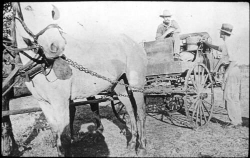 Unidentified man sitting on wagon harnessed to a horse and talking to another man standing beside the wagon [transparency] : inland people and general scenes / [John Flynn?]