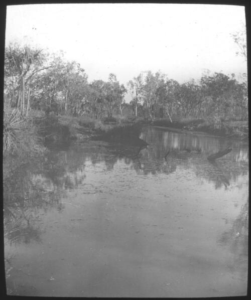 Roper River, Northern Territory [transparency] / [John Flynn?]