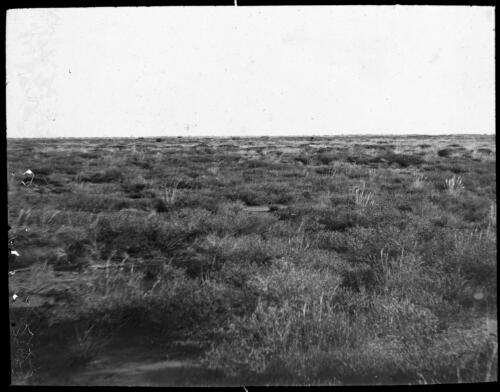 Unidentified tundra landscape [transparency] : part of mixed selection of lantern slides and negatives from John Flynn's teaching days in Gippsland, and early AIM [Australian Inland Mission] activities / John Flynn