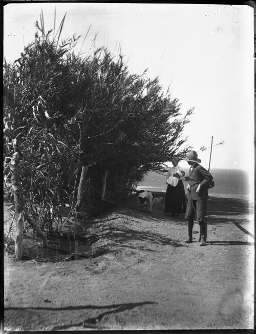 Man and a woman beside large bushes [picture] : an image used by the Australian Inland Mission at Dunbar, Cape York / [John Flynn?]
