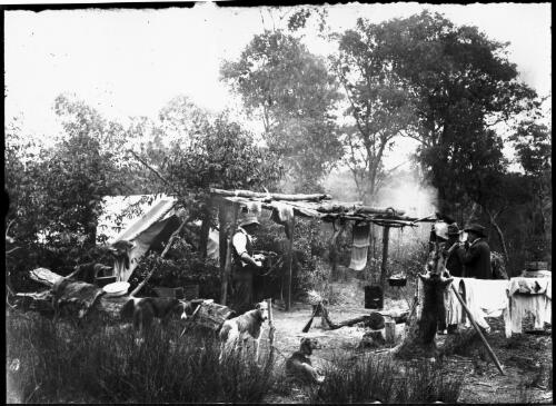 Three unidentified men and their dogs in a makeshift? campsite [picture] : part of a mixed selection of lantern slides and negatives from John Flynn's teaching days in Gippsland, and early AIM [Australian Inland Mission] activities / John Flynn