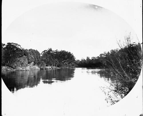 Unidentified river with tree-lined banks [picture] : part of a mixed selection of lantern slides and negatives from John Flynn's teaching days in Gippsland, and early AIM [Australian Inland Mission] / John Flynn