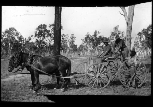 Buckboard [three men and a horse drawn cart] [transparency] : part of scenes of the Northern Territory and North Western Australia including Gillibrand N.T. / [John Flynn?]