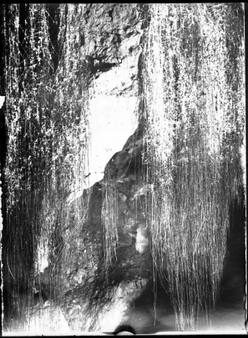 Entrance to an unidentified cave [picture] : part of a mixed selection of lantern slides and negatives from John Flynn's teaching days in Gippsland, and early AIM [Australian Inland Mission] / John Flynn