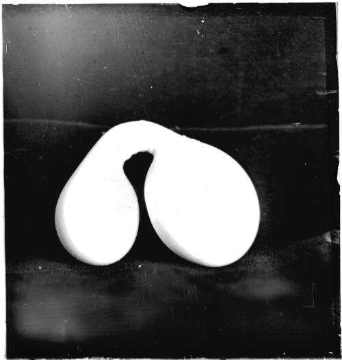 Egg-shaped object, possibly a deformed emu egg [transparency] : part of a mixed selection of lantern slides and negatives from John Flynn's teaching days in Gippsland, and early AIM [Australian Inland Mission] / John Flynn