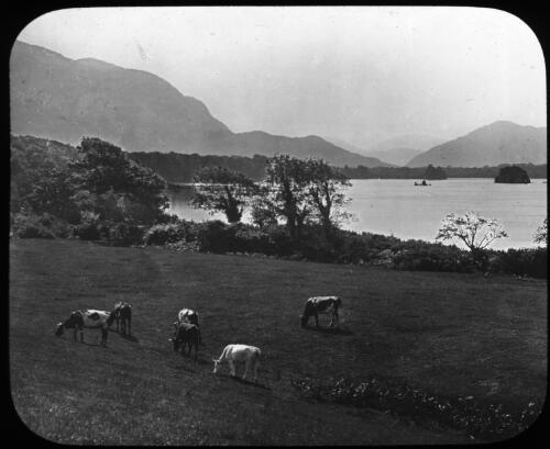 Lower Lake, from Muckross Abbey, Killarney [transparency] : a lantern slide used by John Flynn in lectures / [John Flynn]