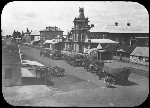 Horses pulling loaded wagons in Grey Street, Glen Innes, New South Wales [transparency] / [John Flynn?]