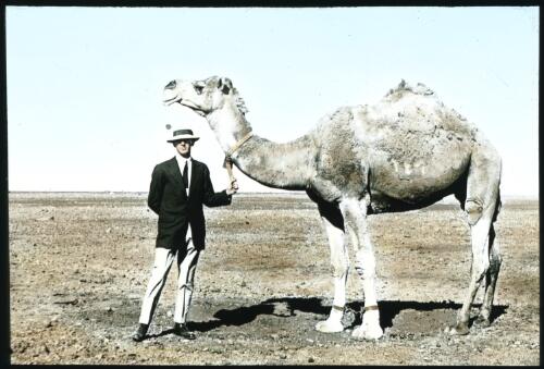 Man holding camel [transparency] : a lantern slide used by John Flynn in lectures / [John Flynn]