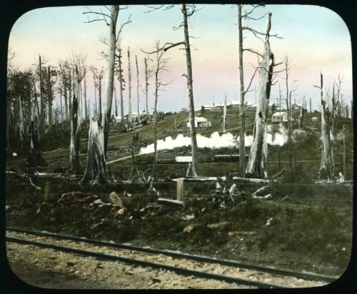 Steam train, Beech Forest, Victoria, ca. 1903 [transparency] / [John Flynn?]
