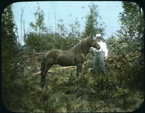 Brumby [unidentified man with a wild bush horse] [transparency] : a lantern slide from John Flynn's missionary days in Gippsland 1906-7 / John Flynn