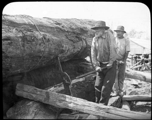 Jacks [two men jacking up a log] [transparency] : part of scenes in the Otway Ranges region of Victoria / [John Flynn?]