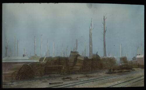 Timber stacked by railway line outside, J. W. Lucas Commercial House, Beech Forest station, Otway Ranges, Victoria, ca. 1903 [transparency] / [John Flynn?]