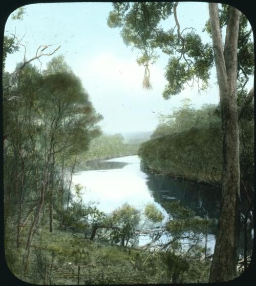 Gow River [transparency] : a lantern slide from John Flynn's missionary days in Gippsland 1906-7 / John Flynn