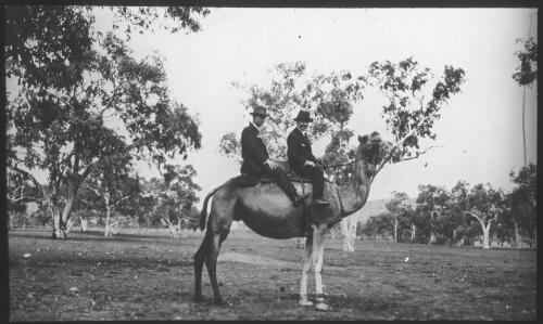Two unidentified men on a camel, Northern Territory [transparency] : taken during the Resonian trip to the Northern Territory led by John Flynn / [John Flynn?]