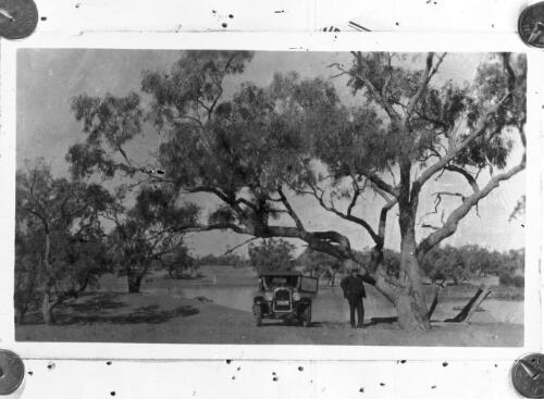 Unidentified man with car beside large gum tree on the bank of an unidentified river [picture] : scenes of the Birdsville area / [John Flynn?]