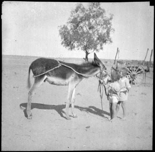 Two children with a donkey [transparency] : scenes in the Diamantina area and other general scenes / [John Flynn?]