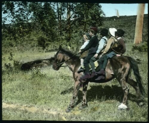 Five unidentified boys riding on a horse [transparency] : a lantern slide from John Flynn's missionary days in Gippsland 1906-7 / John Flynn