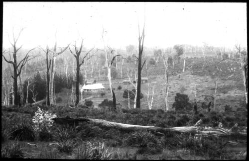 Hodge's property [distant view of dwelling and dead trees in the foreground] [transparency] : a lantern slide from John Flynn's missionary days in Gippsland 1906-7 / John Flynn