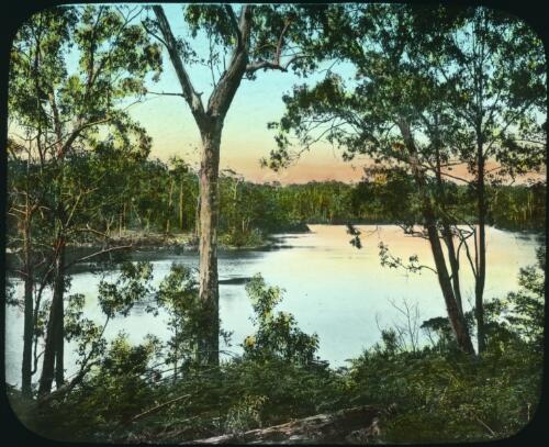 Sylvia Bay, Lake Tyers [transparency] : a lantern slide from John Flynn's missionary days in Gippsland 1906-7 / John Flynn