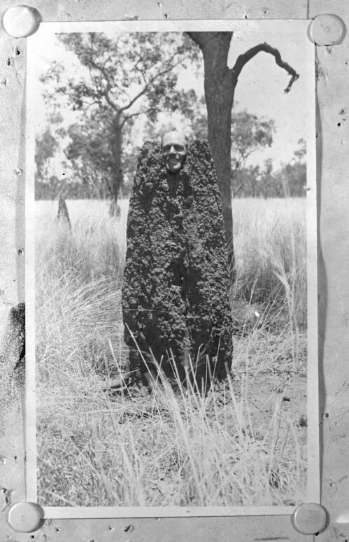 Tennant Creek Patrol, unidentified man looking over the top of a giant termite mound [picture] : road construction in the Birdum area / [John Flynn?]