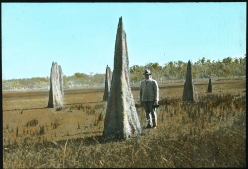 Unidentified man standing next to anthills [transparency] : part of lantern slide lecture collection, 1926 / [John Flynn?]